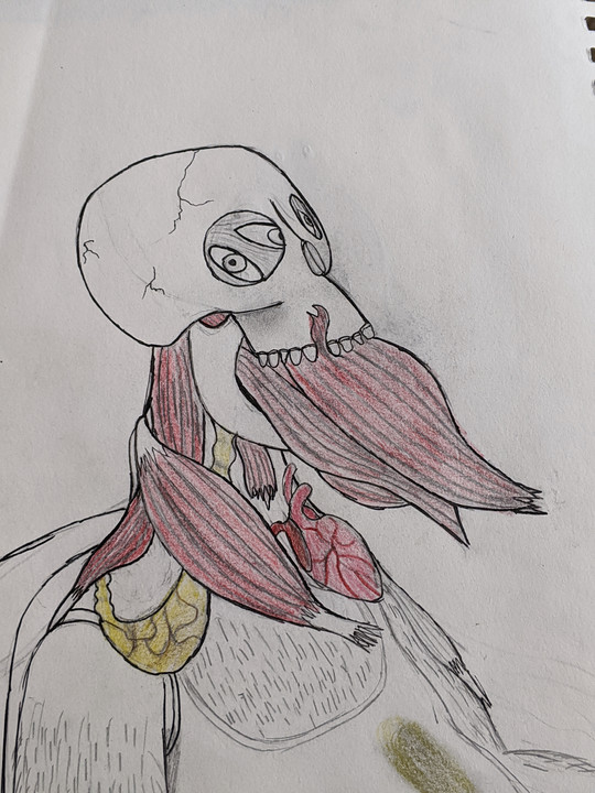 Meatskull_Body%20copy.jpeg