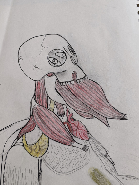 Meatskull_Body%20copy.jpeg