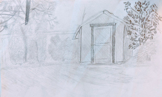 Backyard.jpeg