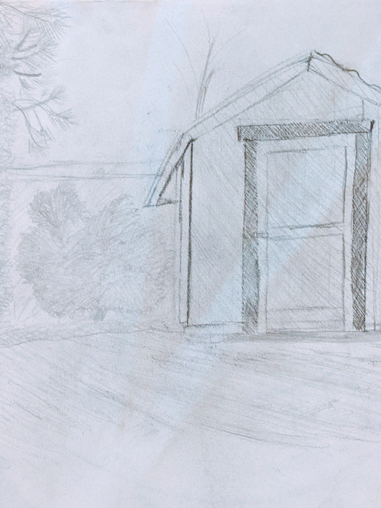 Backyard.jpeg