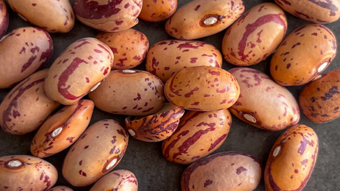 Frijoles cargamanto