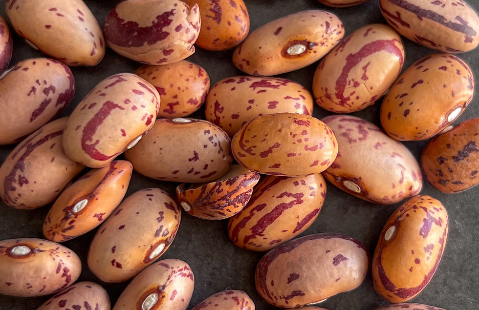 frijoles cargamanto