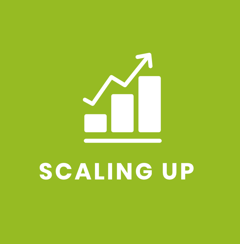 Scaling up - Frauenalia's Hub