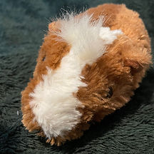 Guinea pig plushie