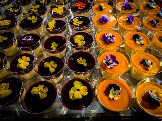 kochi photos 1-120.jpg