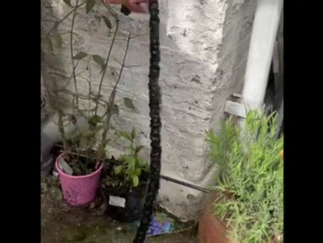 Sustainability- How our product benefits you and the environment