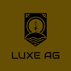 MAIN logo gold background .png