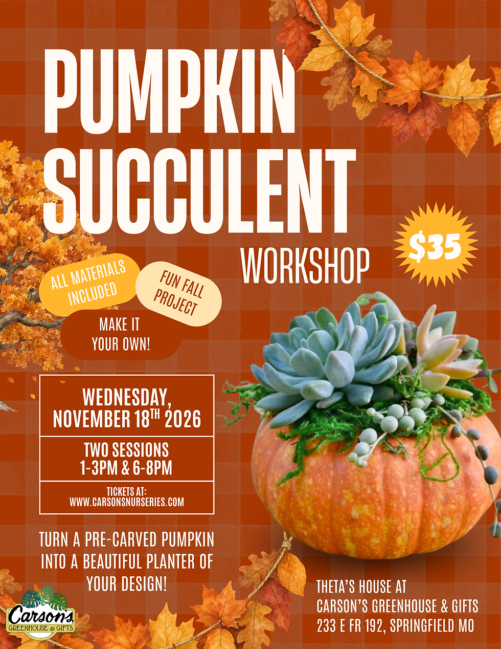 Pumpkin Succulent Workshop