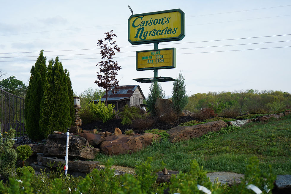 Planting Trees for Success: What We Use (and Why It Matters)