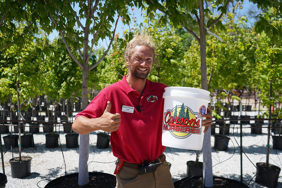 Here’s How to Properly Water Your Tree | Happy Arbor Day!