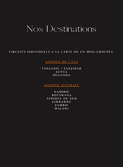 Andarela Safari Catalogue Voyages 2024