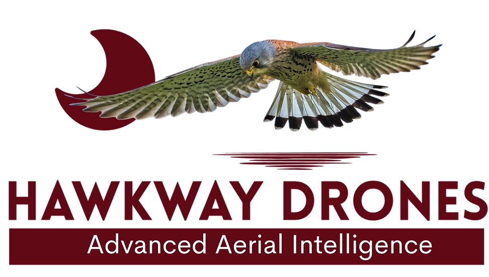 Kestrel Drones Logo (6).png