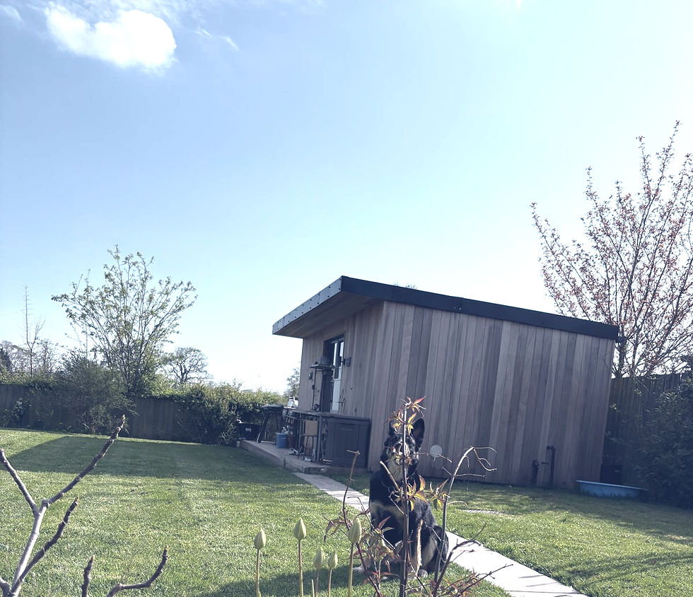 Studio image in garden against blue sky