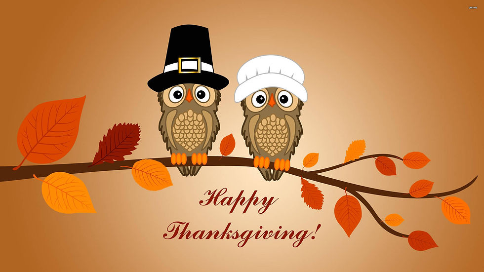 Thanksgiving Cookie Decorating Class - $40