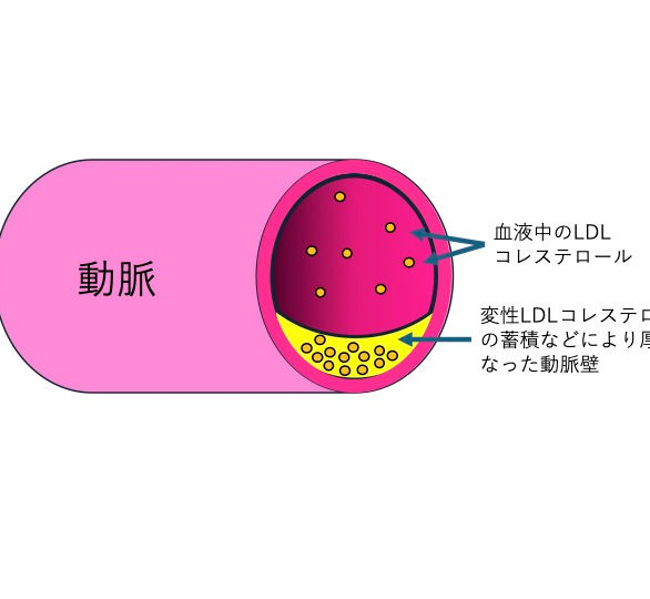 プレゼンテーション1.jpg
