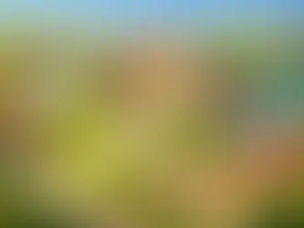 Wedding Venue With Accommodation France