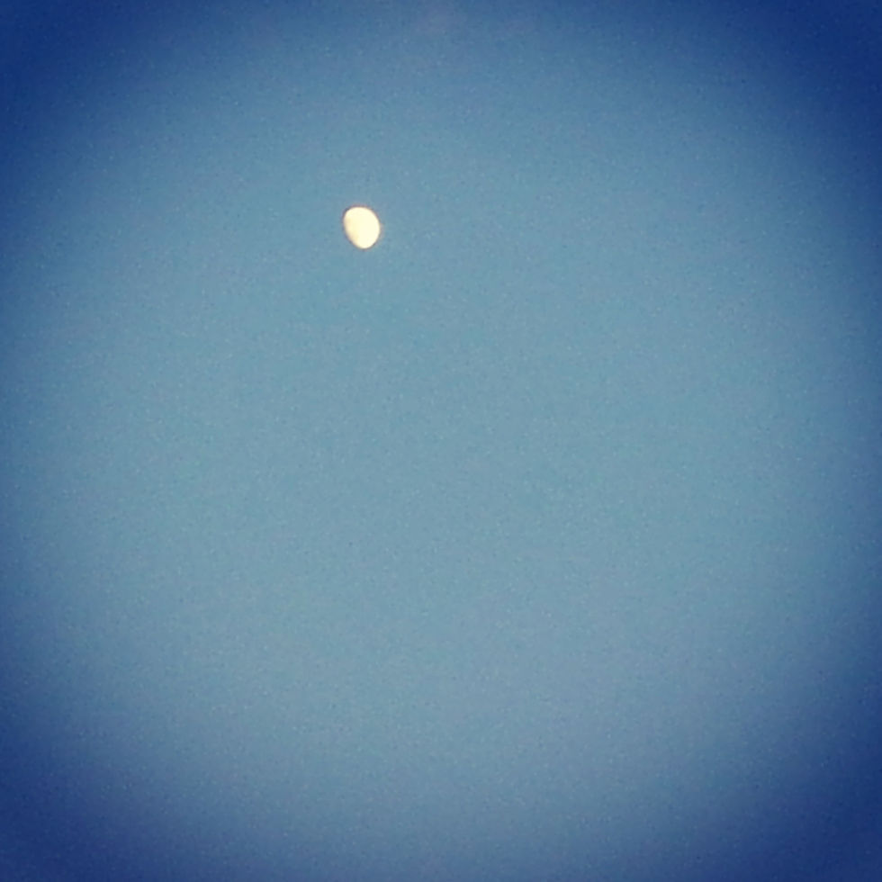 waxing-moon_14365161969_o