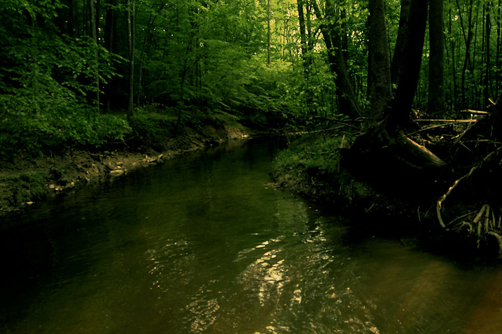 to-feel-the-earth_14261240732_o