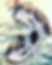 B4E31BDD-8853-42FF-8EEC-02BA19FAA3D9.jpeg
