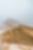 alexander-milo-HwxVLhLyg2s-unsplash_edit.jpg
