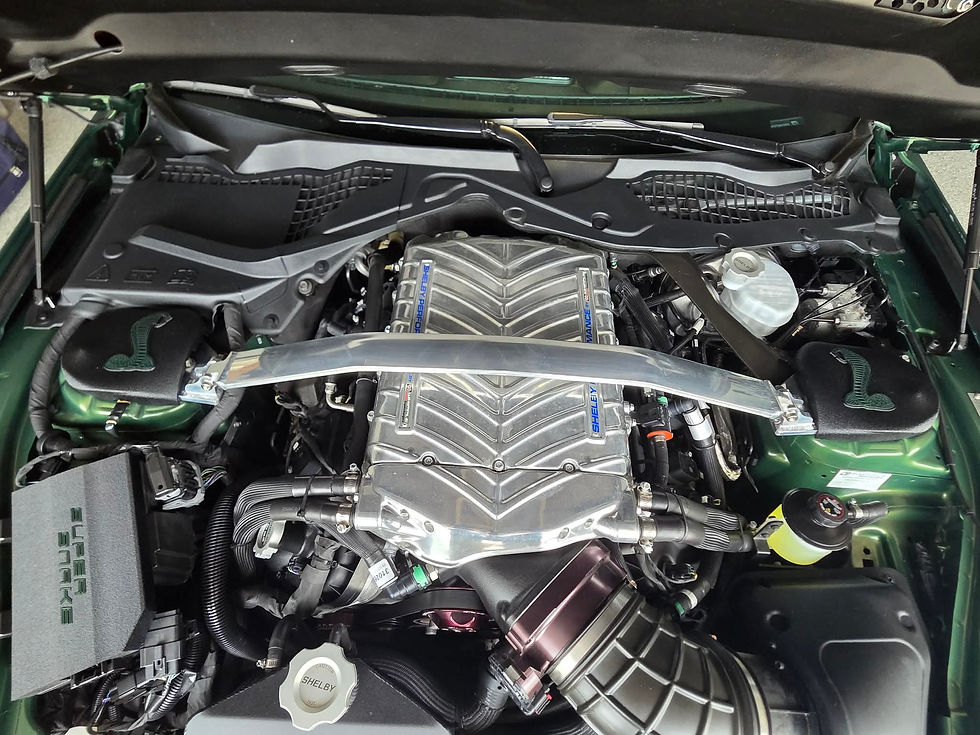Miniaturbild: 2015-2026 mustang strut tower covers (Cobra)