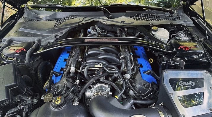 Miniaturbild: 2015-2026 GTD inspired pony strut tower covers (choose logo color)