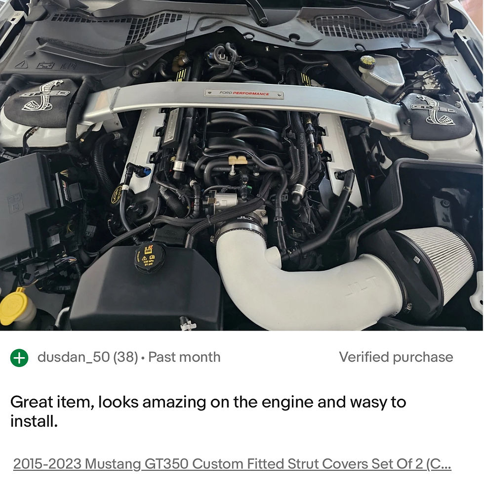 Miniaturbild: 2015-2026 mustang strut tower covers (California Special)