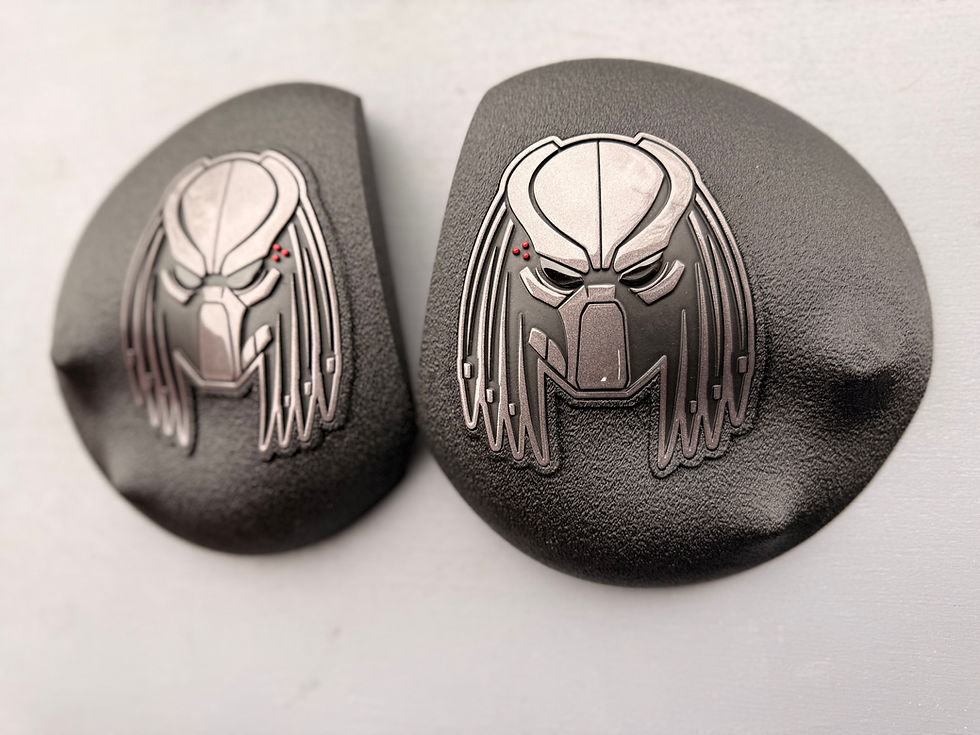 Miniaturbild: 2020-2022 GT500 (embossed color logos)