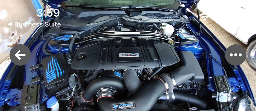 Miniaturbild: 2015-2026 mustang strut tower covers (howling coyote head) 