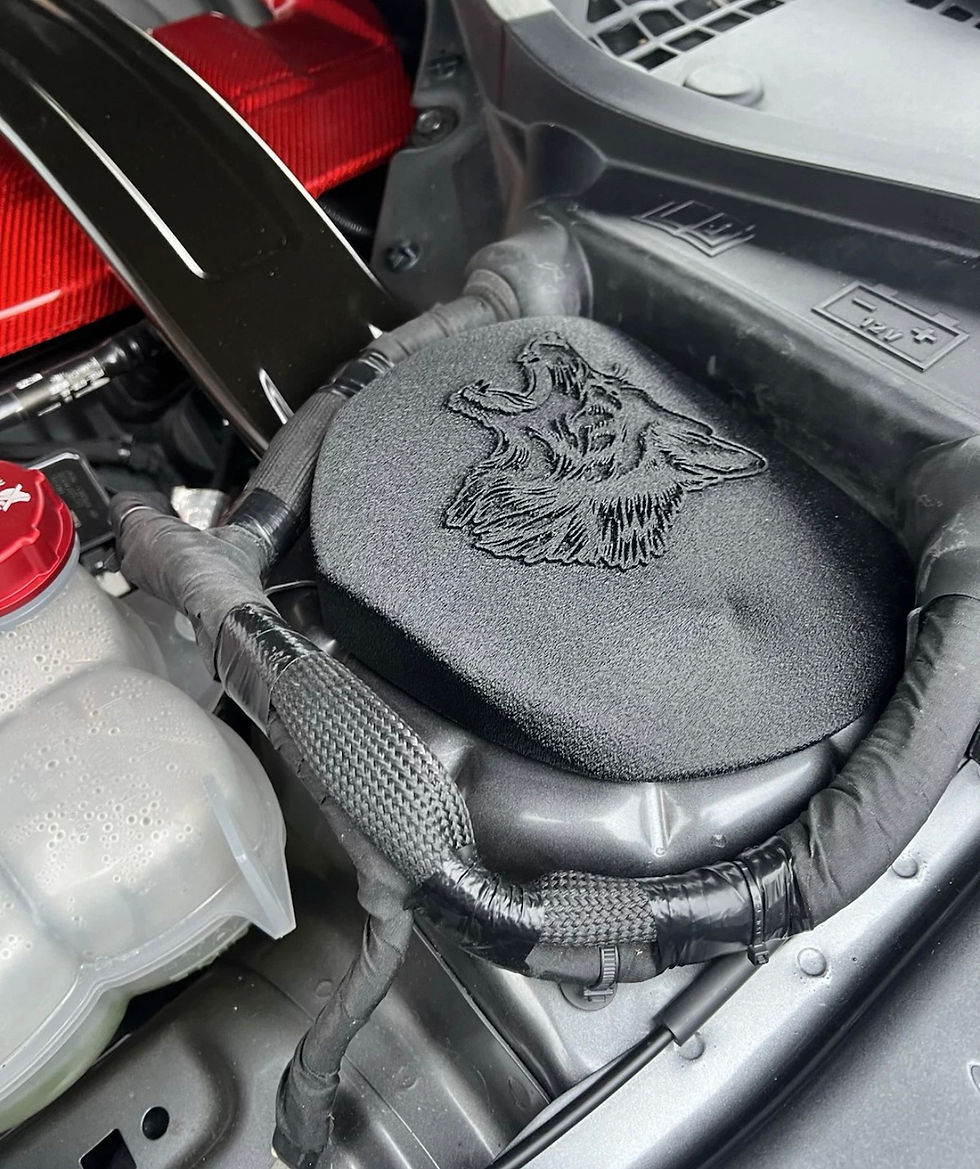 Miniaturbild: 2015-2026 mustang strut tower covers (California Special)
