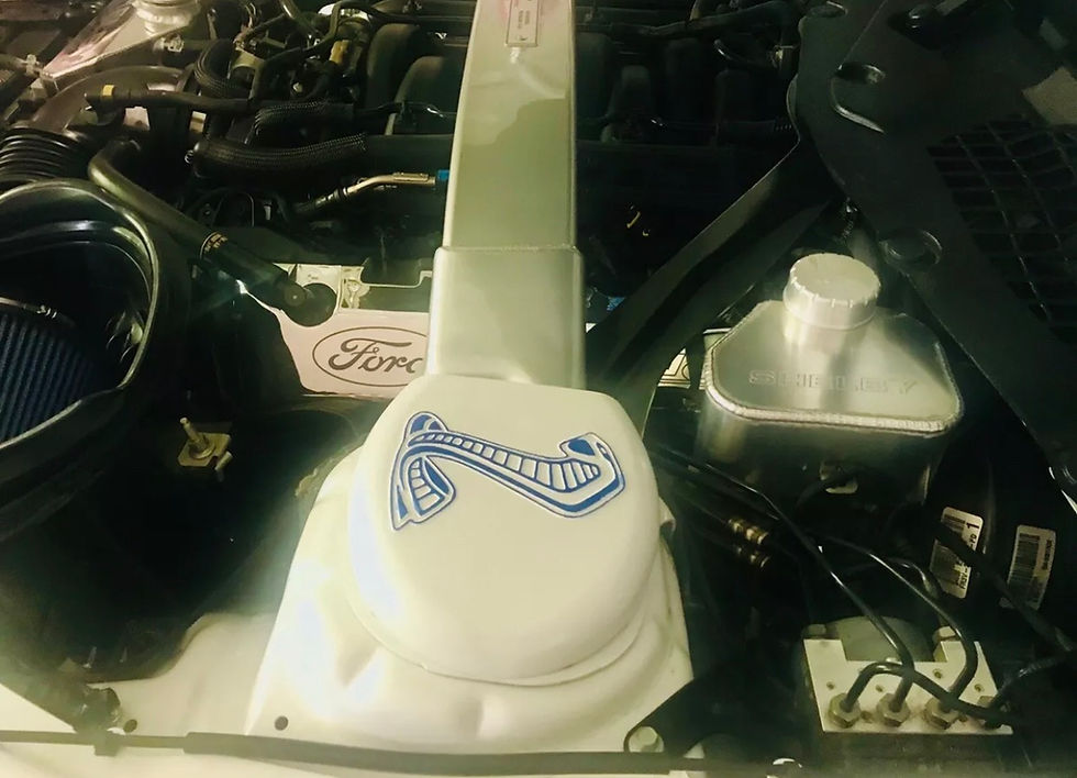 Miniaturbild: 2015-2023 Ford Mustang Strut tower covers (BLANK) set of 2