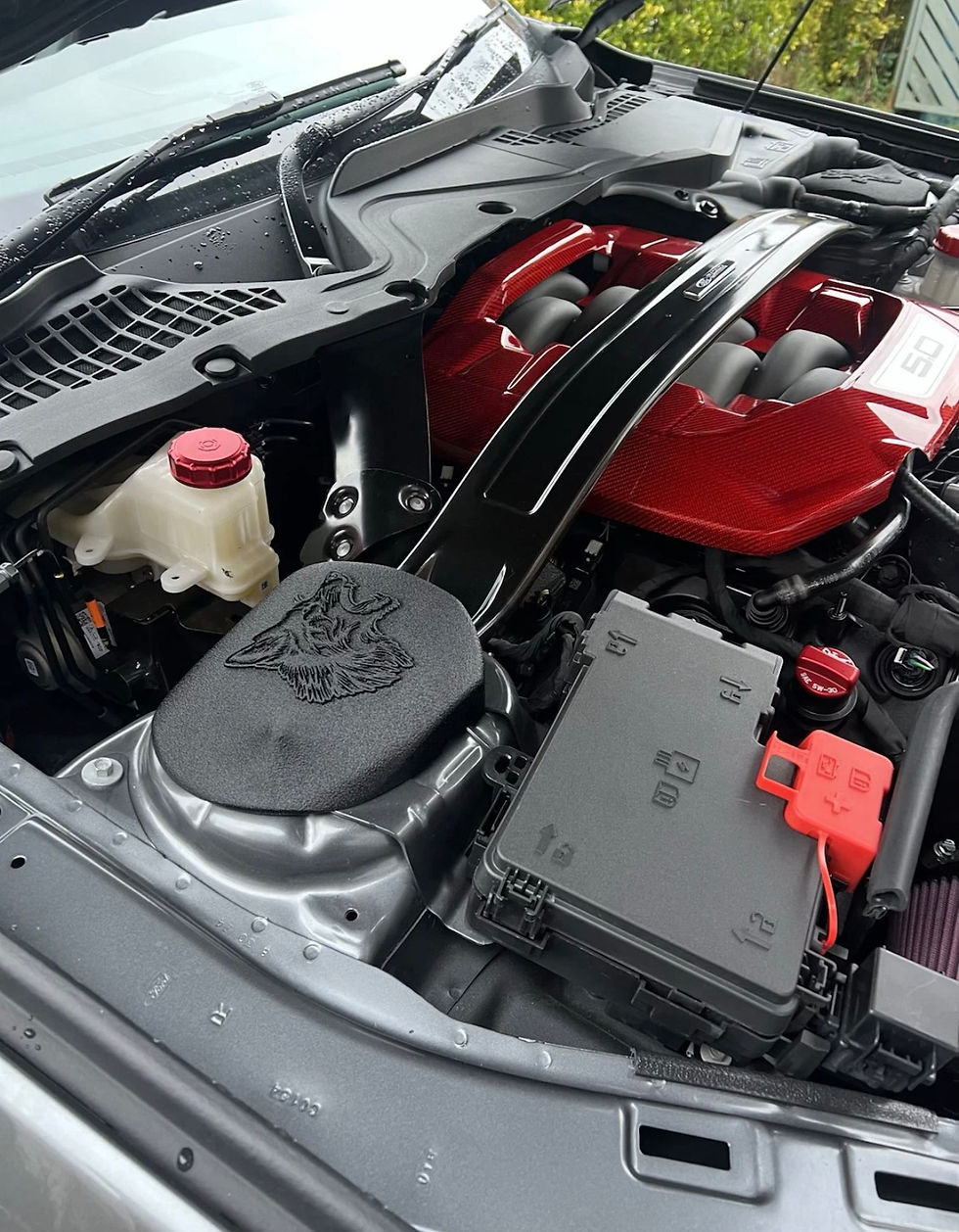 Miniaturbild: 2015-2026 mustang strut tower covers (California Special)