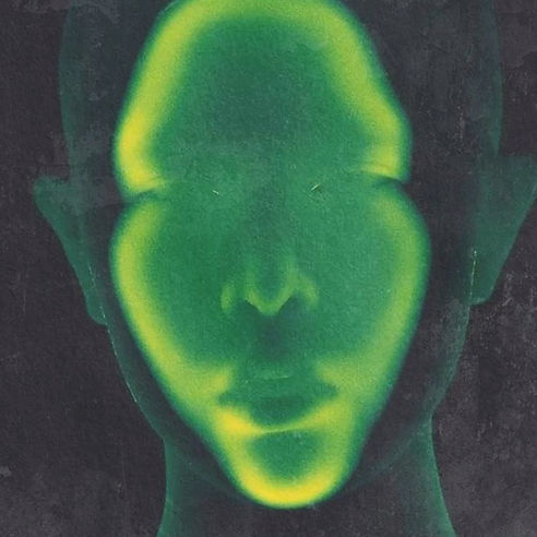 green head_edited.jpg