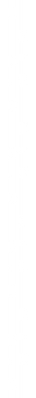 Putahi_Borders-08.png