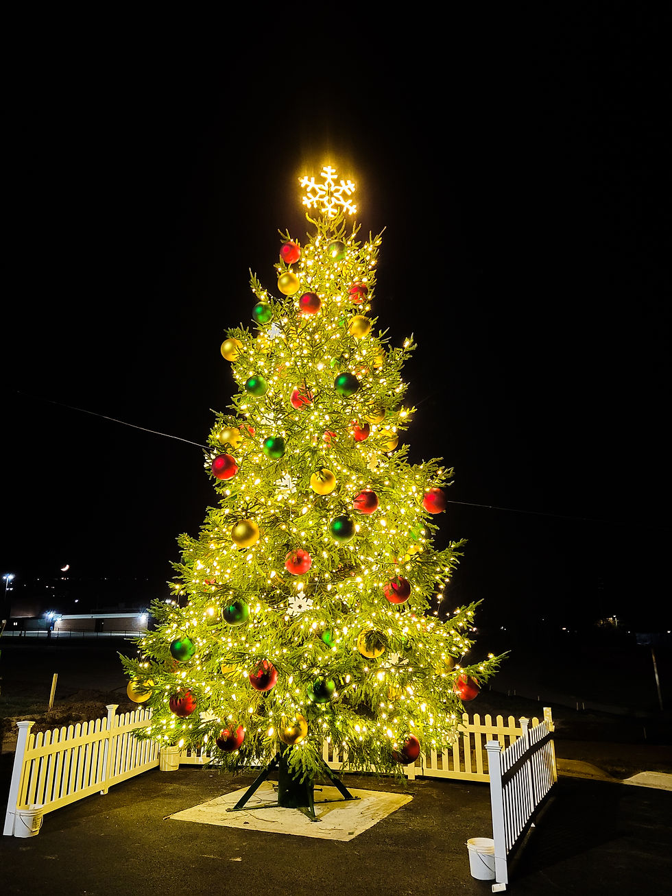 Commercial Holiday Lighting