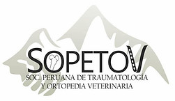 SOPETOV.jpeg