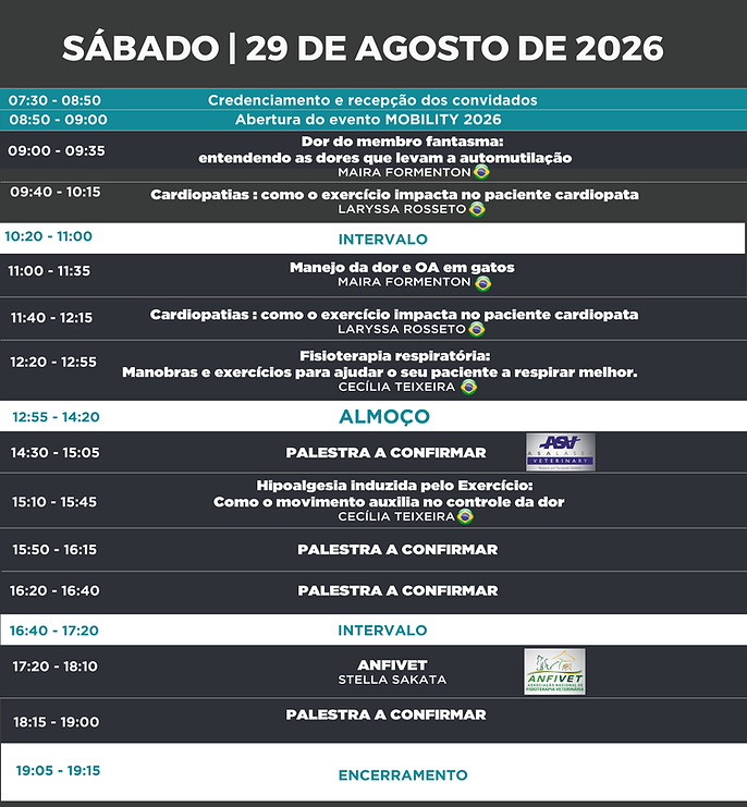 Programação dia 29.png