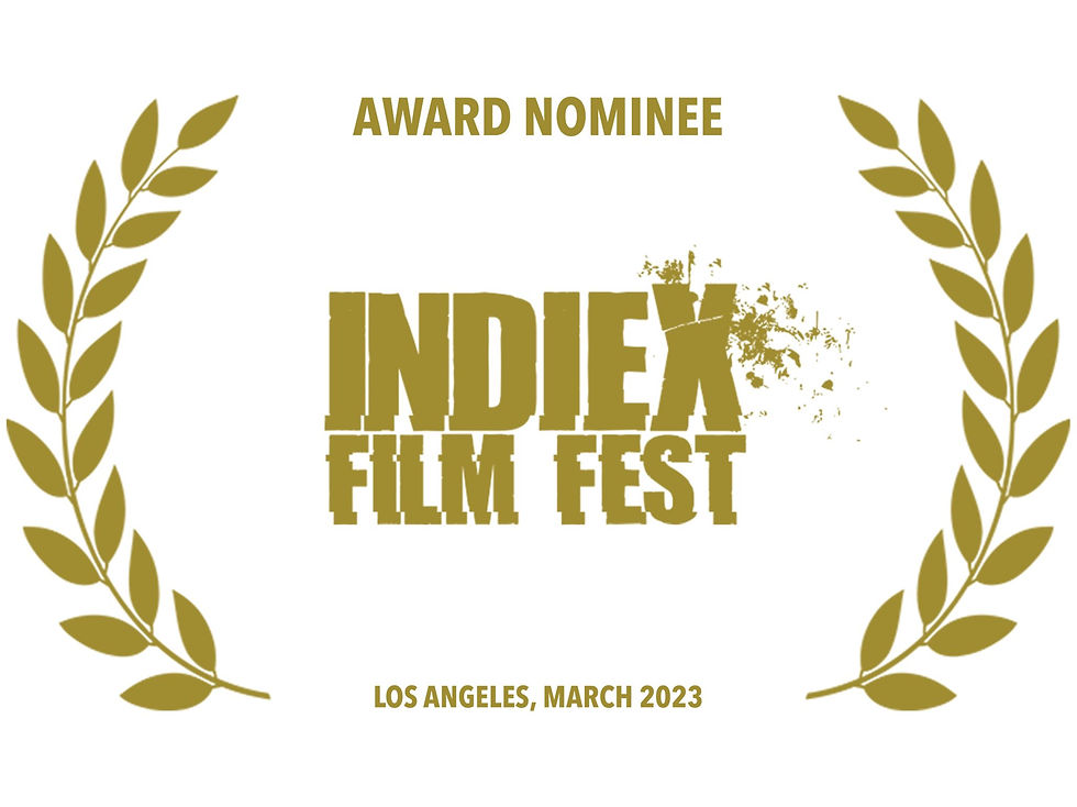 Selected for IndieX Film Festival!