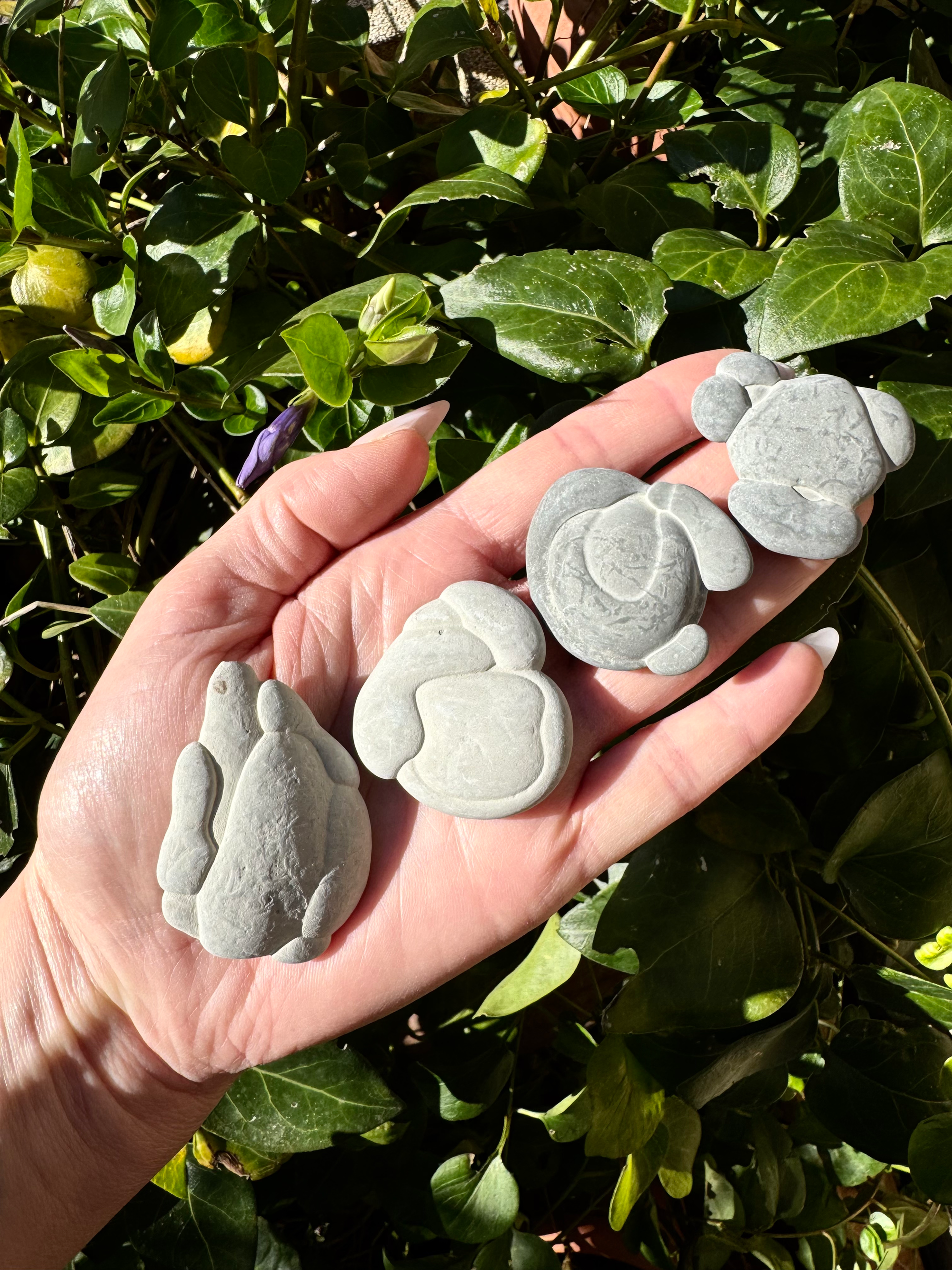 FAIRY STONE M