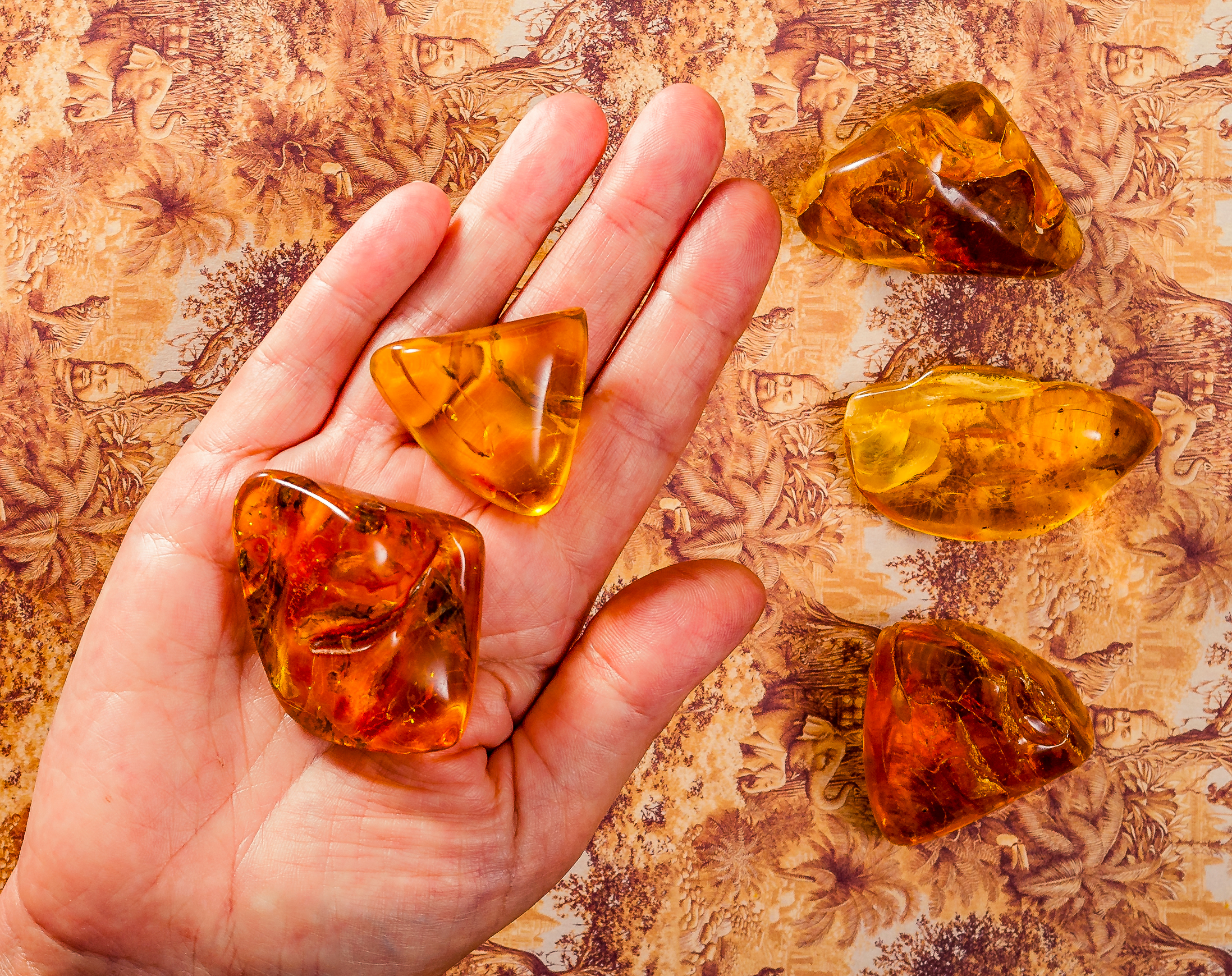 AMBRA BALTICA GRANDE