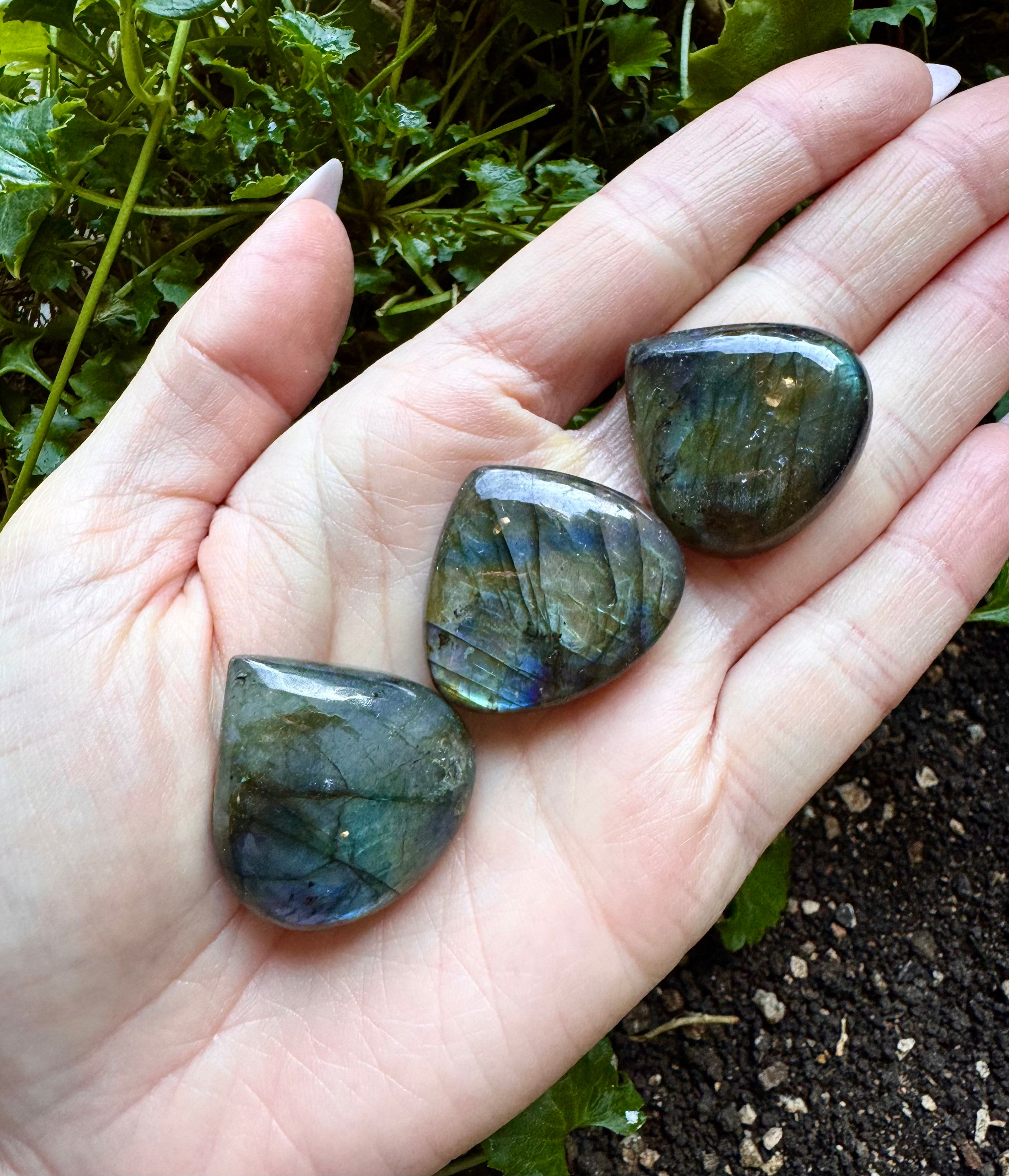 CABOCHON LABRADORITE GOCCIA S
