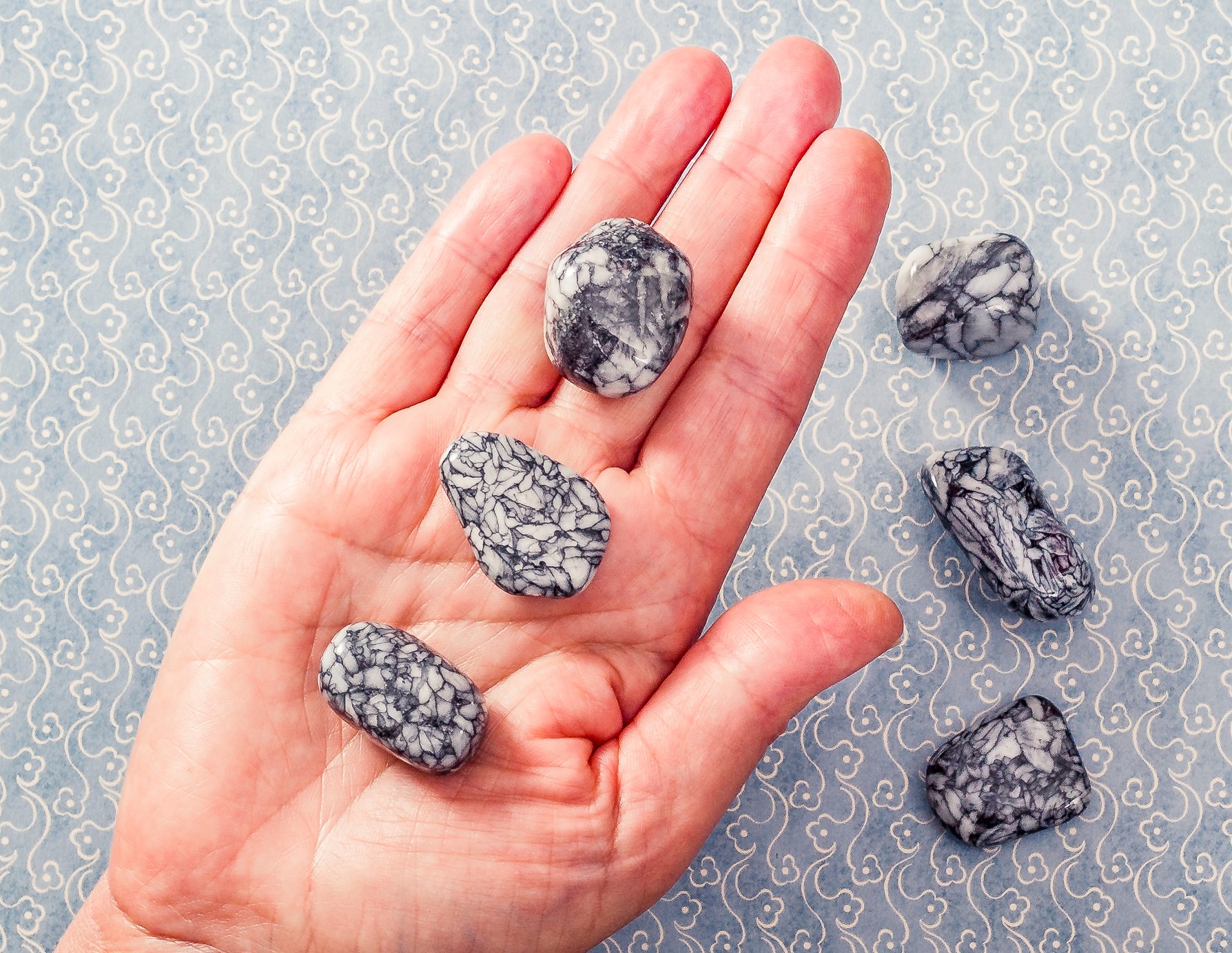 PINOLITE BURATTATA MEDIA