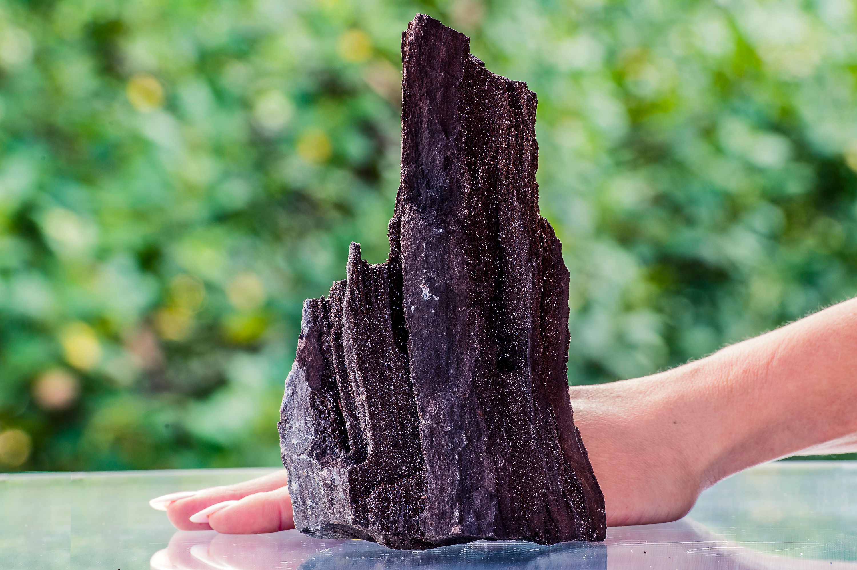 LEGNO FOSSILIZZATO CON QUARZO DAL MADAGASCAR MEDIO/GRANDE (240 Milioni di anni)