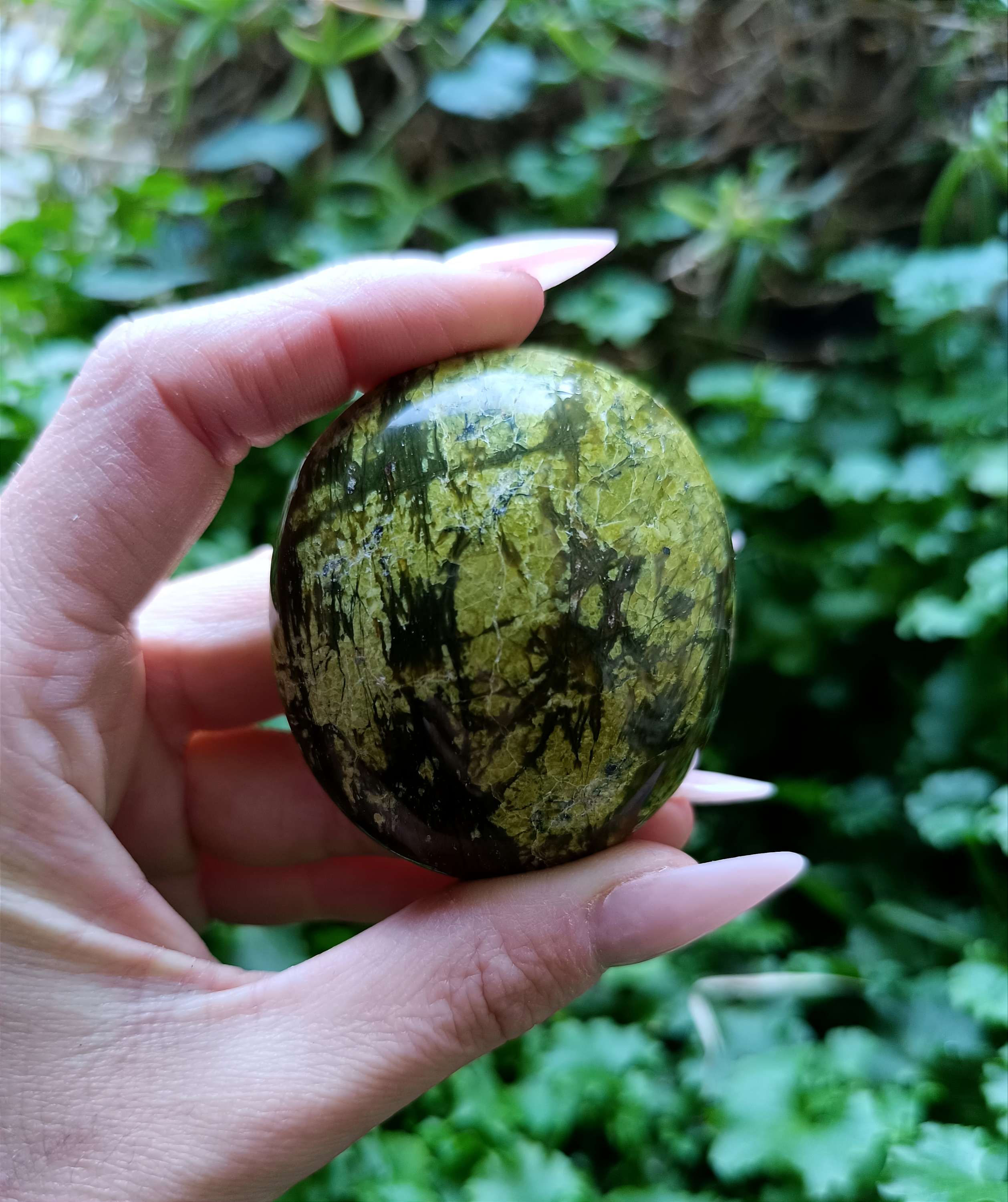OPALE VERDE PALMARE