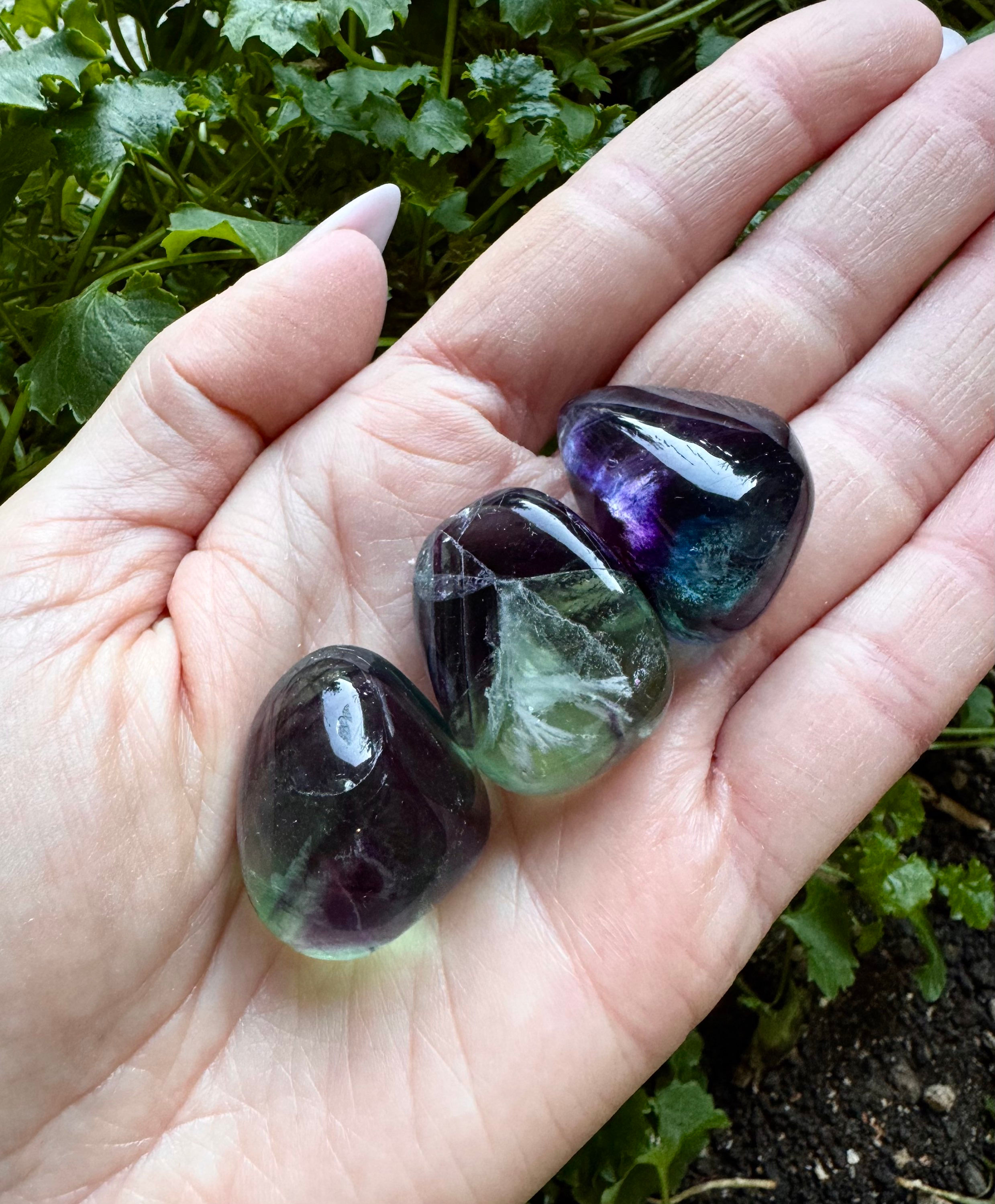 FLUORITE ARCOBALENO BURATTATA EXTRA