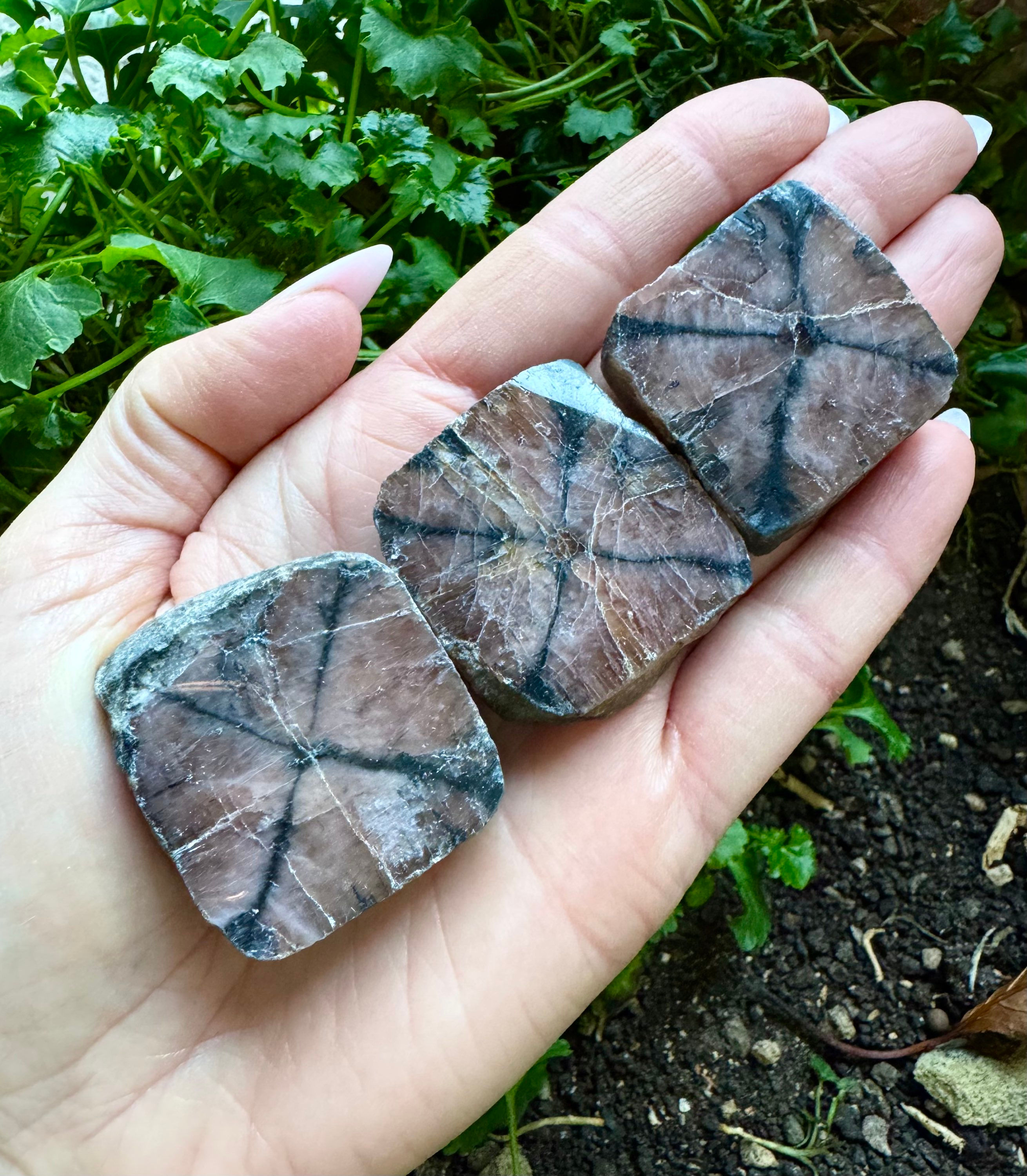 CHIASTOLITE
