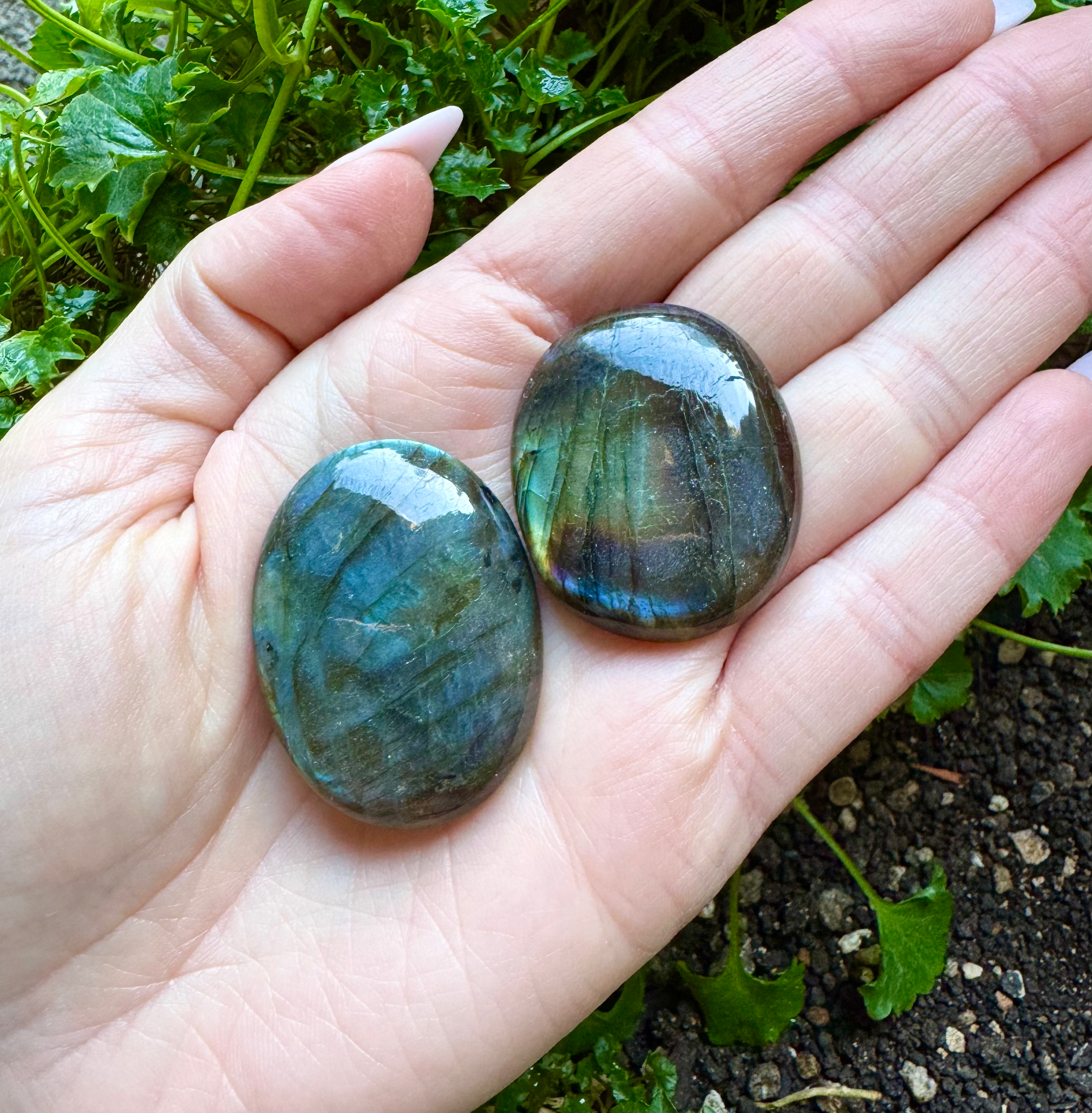 CABOCHON LABRADORITE CERCHIO