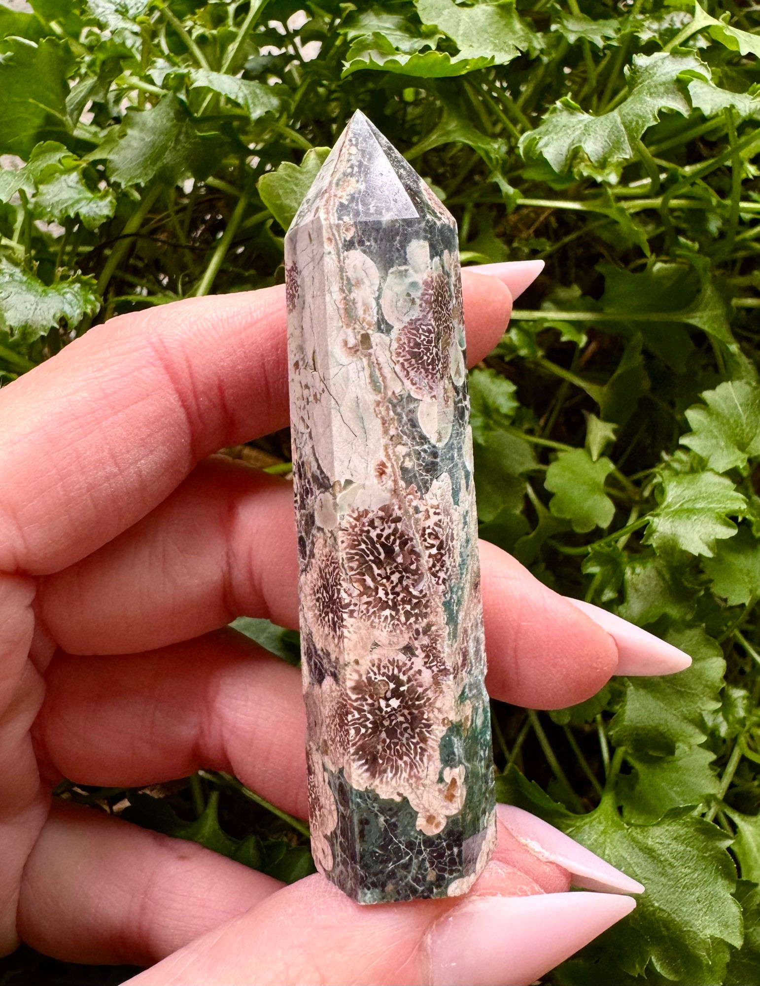 PUNTA DIASPRO FIORATO