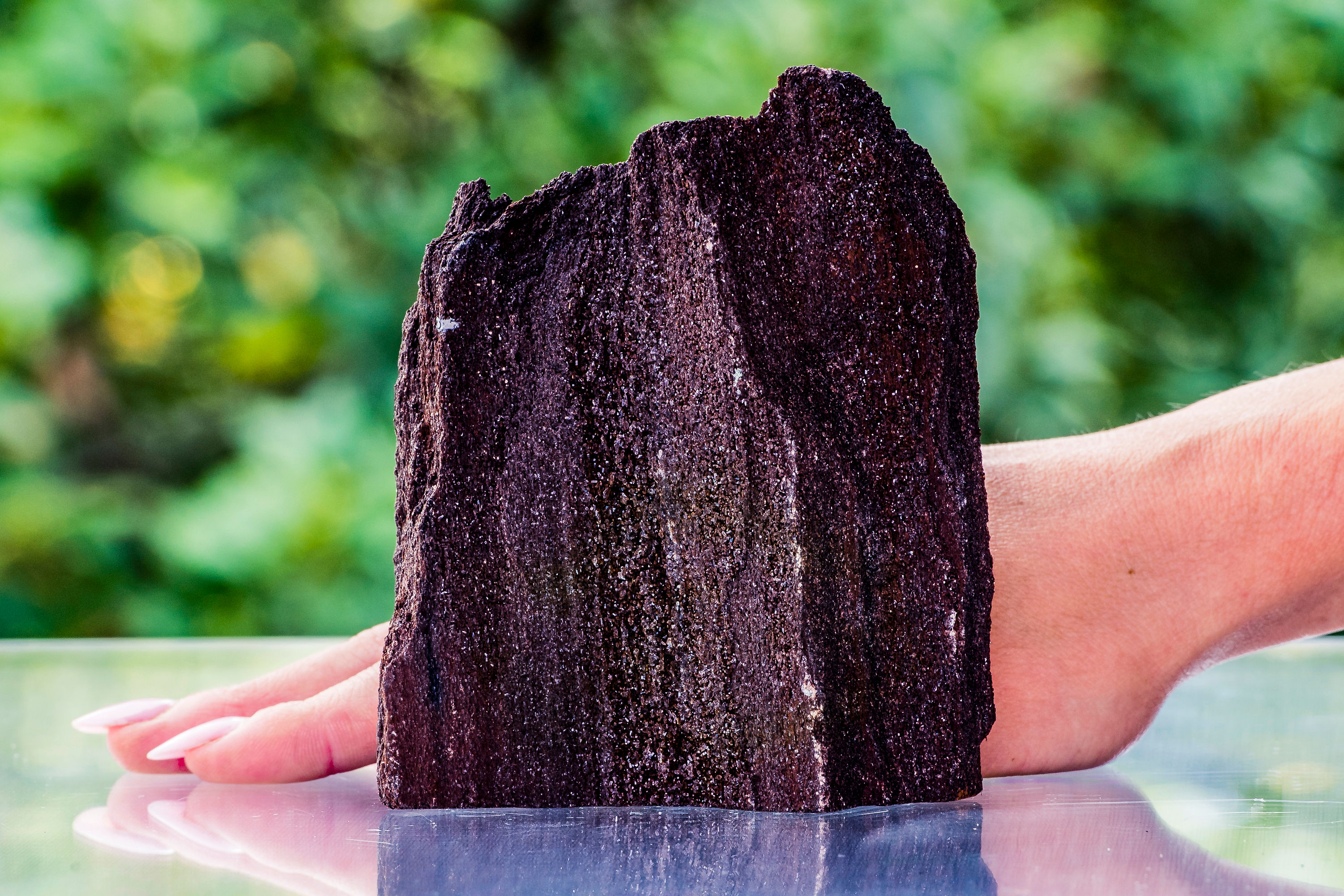 LEGNO FOSSILIZZATO CON QUARZO DAL MADAGASCAR MEDIO (240 Milioni di anni)