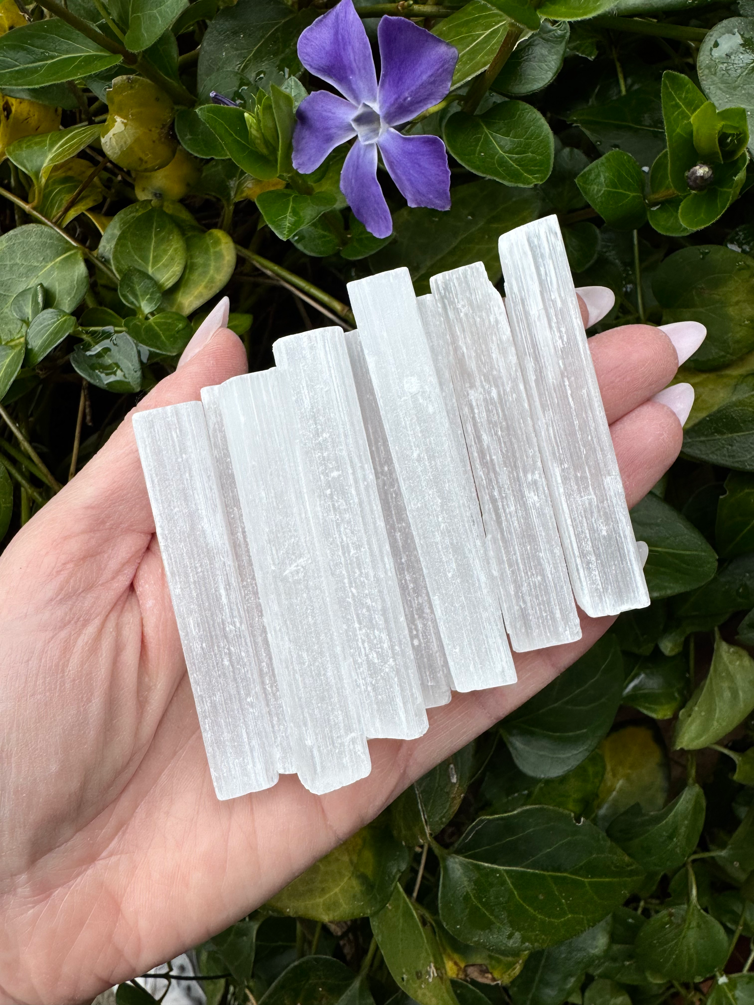 BACCHETTA SELENITE